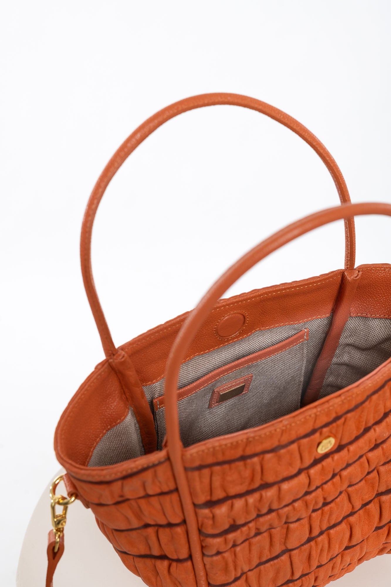 Mara Naranja Exótico EDICION LIMITADA